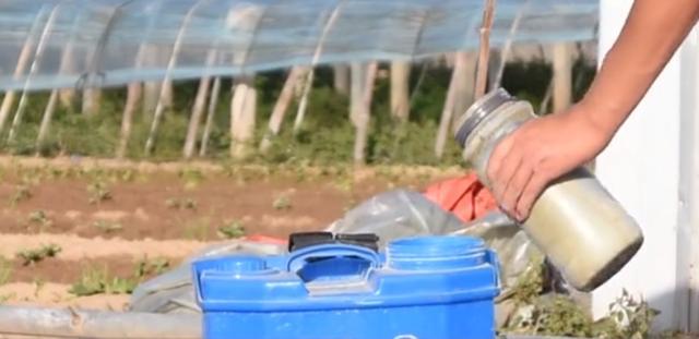 除草剂|除草剂和尿素混用，会有什么效果？看完你就有答案了