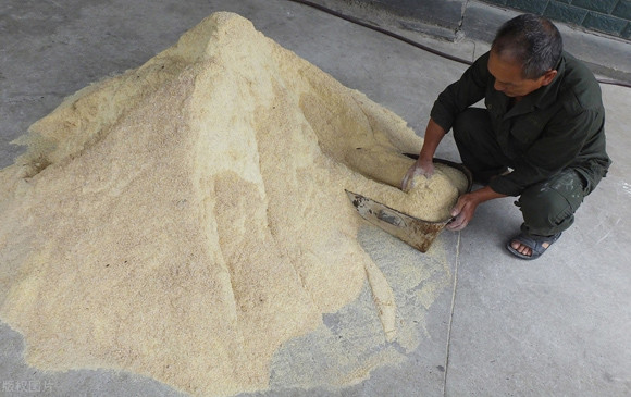 饲料|多雨天气，养猪场务必做好饲料的防霉、脱霉工作，保猪群健康！
