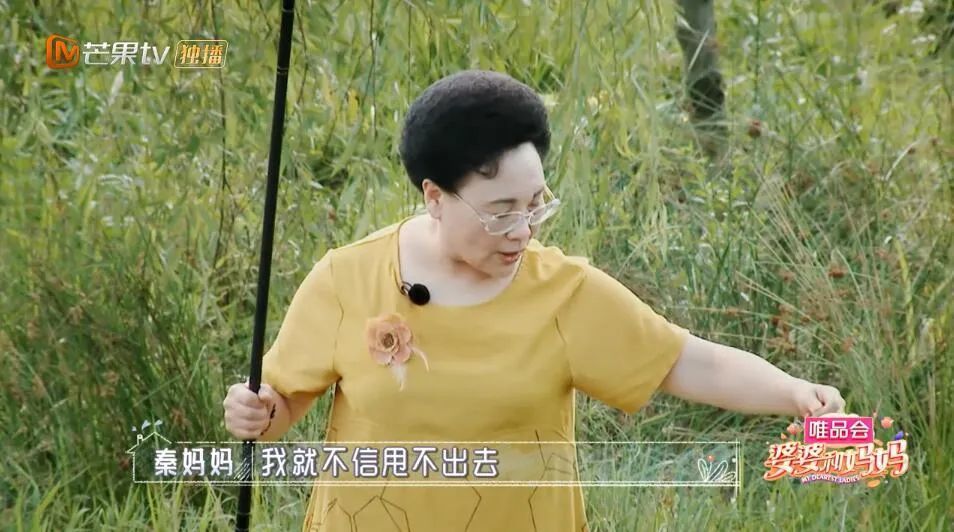 伊能静|想和秦昊共享一个妈