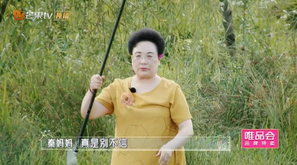 伊能静|想和秦昊共享一个妈