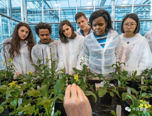 荷兰|人口不及我国一个省，却有“喂饱世界”的能力！该国究竟有何魅力