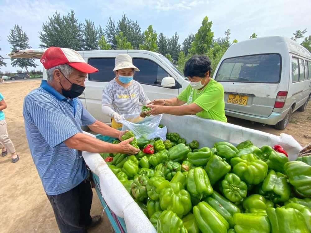 合作社|城里人下单，地头菜当天送到！背后有群京郊人在忙活