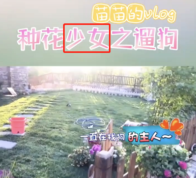 郑恺|叫苗苗太生疏，叫老婆太普通，听到郑恺称呼的啥，甜蜜的刚刚好