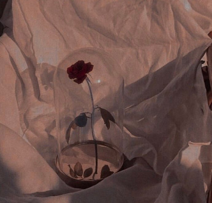 绘画|为了学画，她小学一年级辍学，如今唱歌、跳舞全才却单身一人