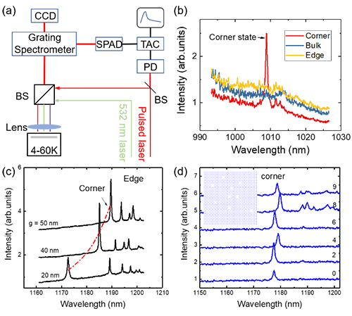 拓扑|二维拓扑光子晶体微腔取得新进展