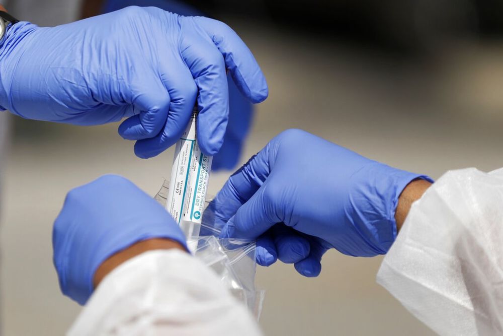 病毒|新型H1N1猪流感病毒被发现，美科学家是这样解释的