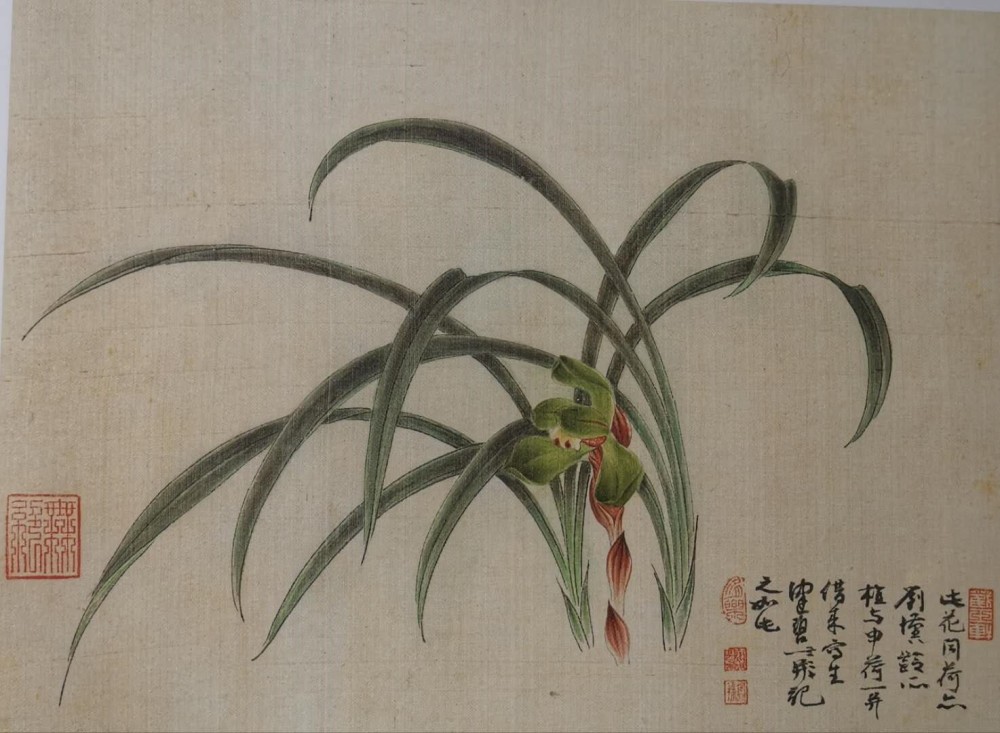 陈佩秋|【纪念】国香无绝——陈佩秋先生的画兰艺术
