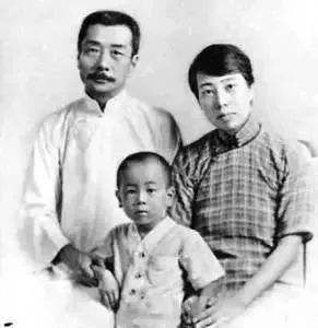 红豆|一颗红豆居然21万元，是对文化的追求？还是病态心理的作祟？