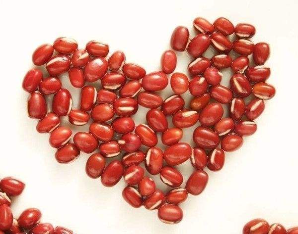 红豆|一颗红豆居然21万元，是对文化的追求？还是病态心理的作祟？