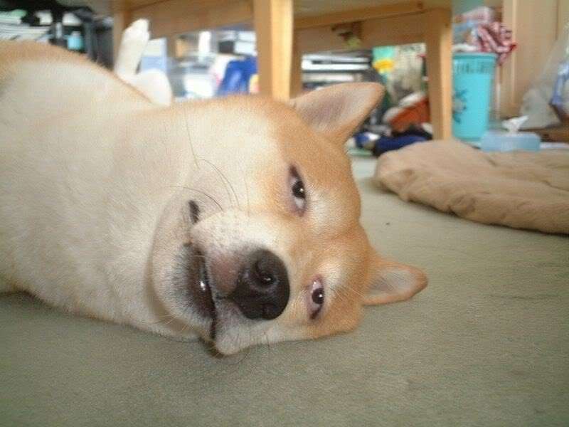 法拉利|世界上三个中国第一人，你知道都是谁吗？