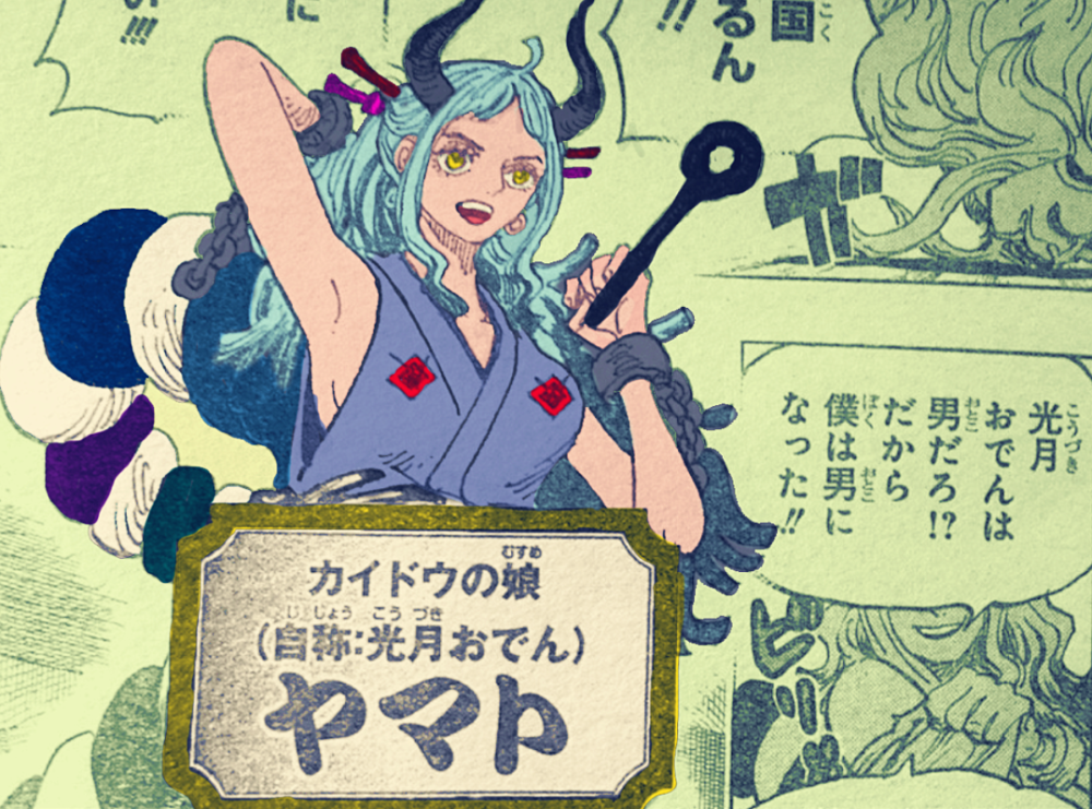 海贼王大和是美女还帮路飞对付凯多看来第十人是大和了