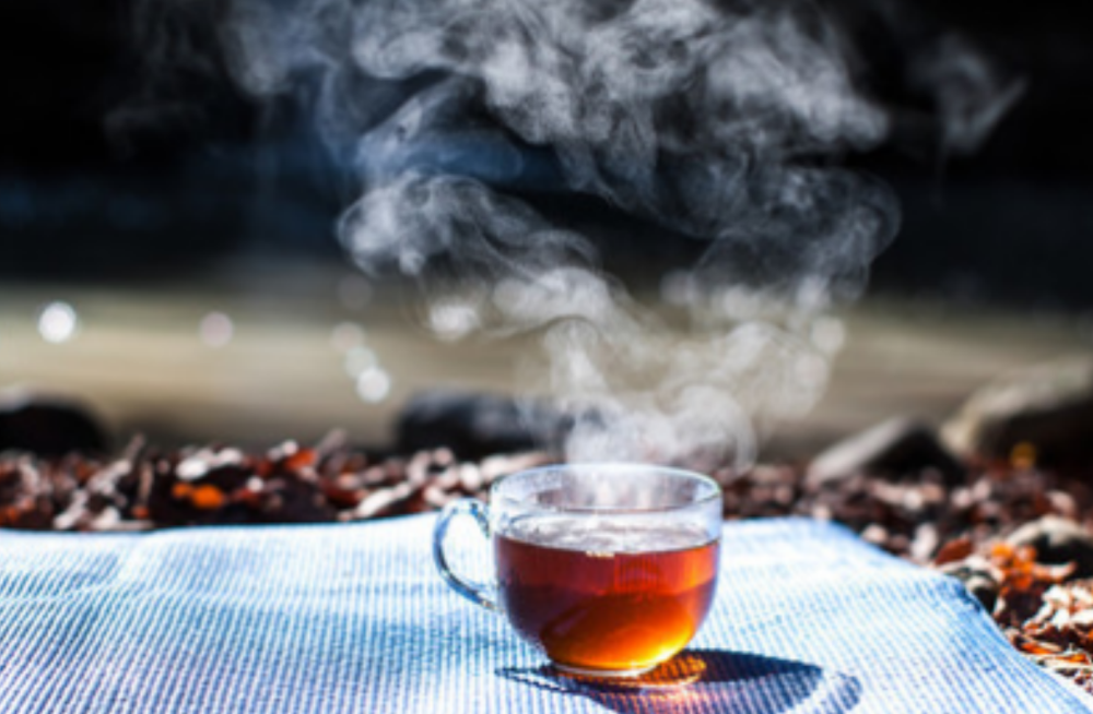 为什么闷热的夏天,为什么我们更应该喝热茶?