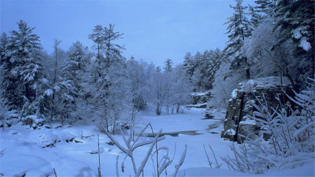 新疆六月飞雪,厚度可达40厘米,极端天气为何层出不穷?