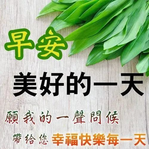 微信群發早上好祝福語大全,漂亮的早上好問候朋友表情圖片