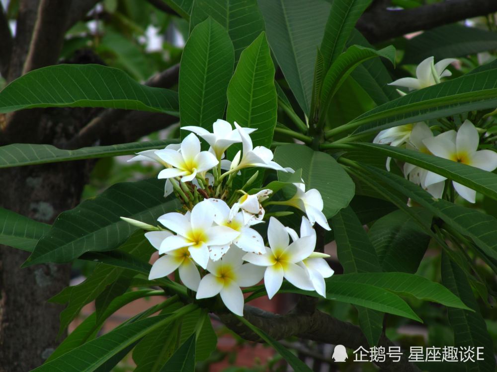 7月4日 8日星座运势 巨蟹拼尽全力 天秤内心平静 水瓶齐心协力 腾讯新闻