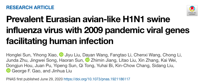 猪流感|“猪流感”传言又起，猪肉还能吃吗？