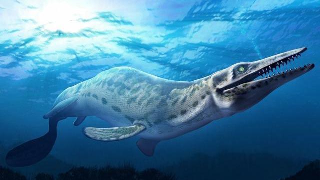 灭绝|科学家警告：第六次生物灭绝已来临！各种迹象表明这不是危言耸听