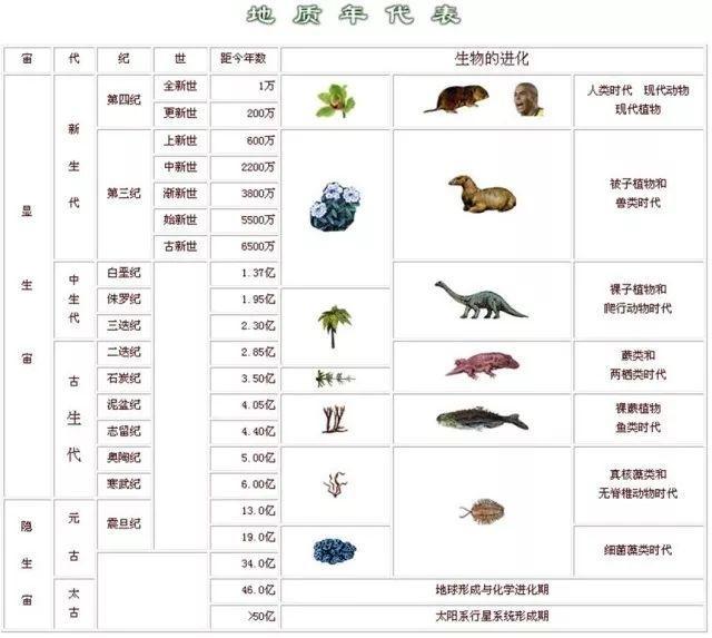 灭绝|科学家警告：第六次生物灭绝已来临！各种迹象表明这不是危言耸听