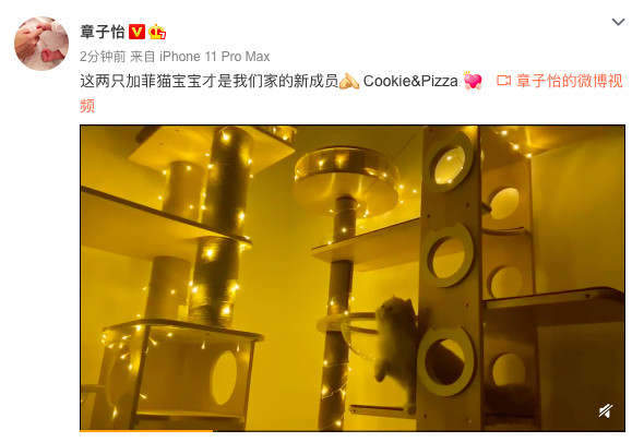 汪峰|闺话丨二胎产后六个月，章子怡辟谣怀三胎：嫁给汪峰后的她，完全变了样