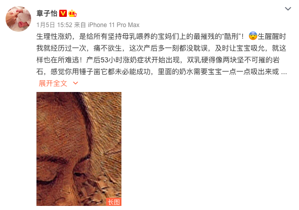 汪峰|闺话丨二胎产后六个月，章子怡辟谣怀三胎：嫁给汪峰后的她，完全变了样