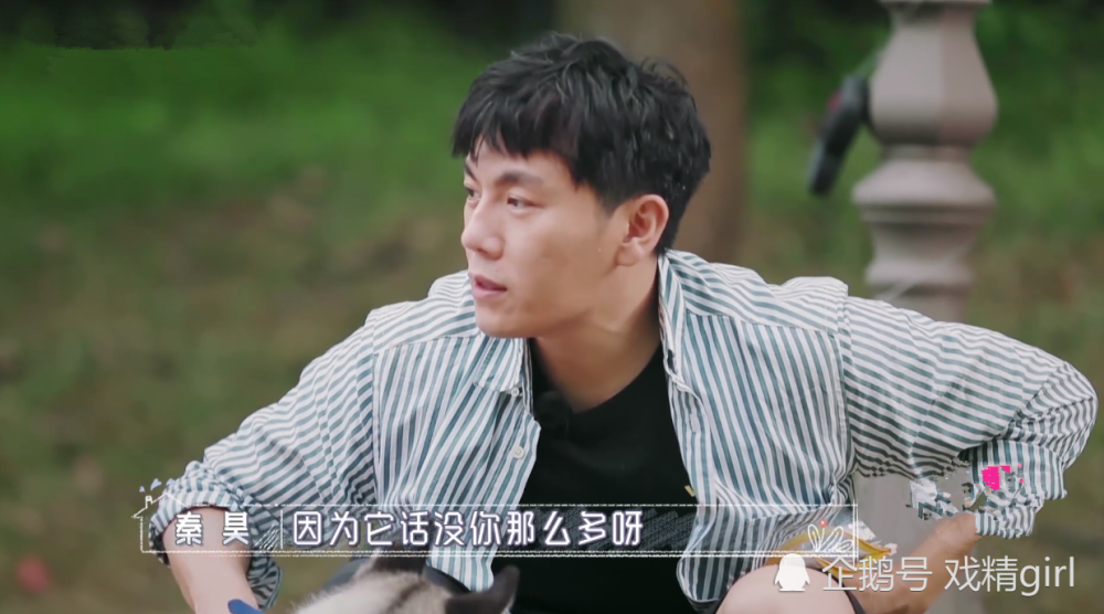 伊能静|伊能静哭惨不会享受有人赚钱给她花的生活，秦昊：一大早演悲情戏