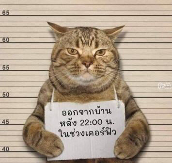 世界上被判刑的3只动物,第二只酷似大哥