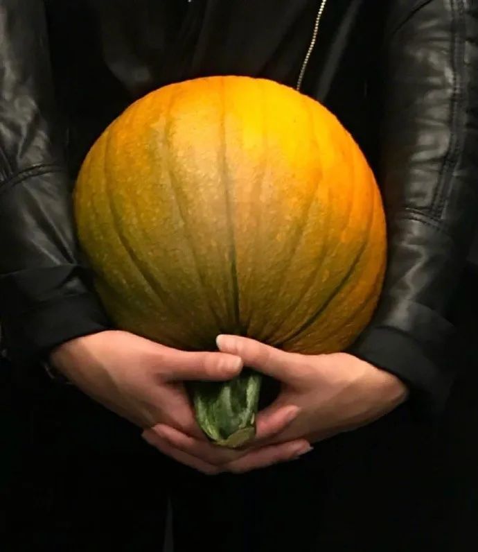 最近生活的主题:撑住