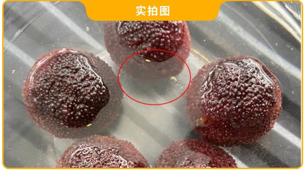 杨梅|不敢相信！显微镜放大40倍，我竟看到了杨梅里正在蠕动的……
