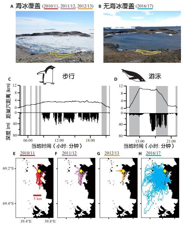 企鹅|我就是那个更喜欢无冰的憨憨企鹅