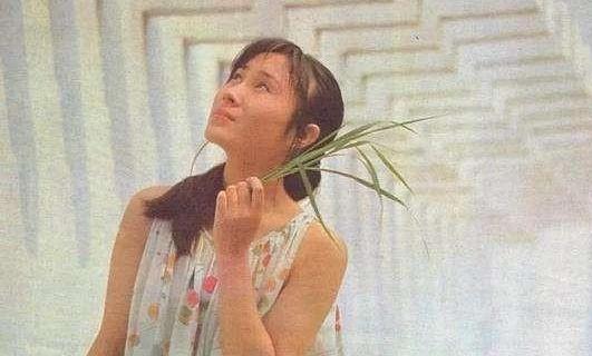 丁岚|“牧羊女”丁岚：当红移民新加坡，落魄后回国“捞金”，今成富婆