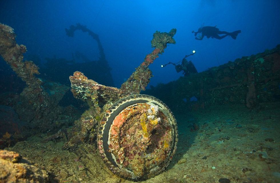 05幽灵沼泽 | 曼查克沼泽曼查克沼泽,位于美国路易斯安那州.