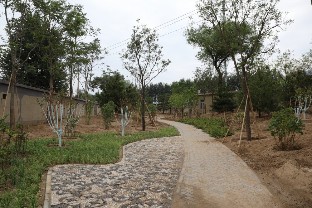 公园|朝阳崔各庄拆违空地建休闲公园，预计今年10月建成开放