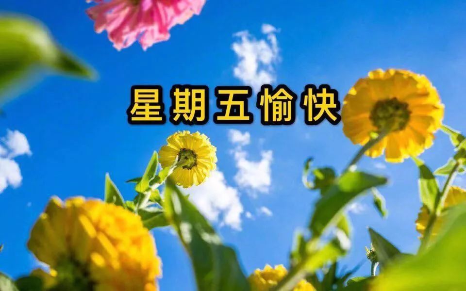 週五早安祝福圖片帶字大家早上好圖片問候語大全