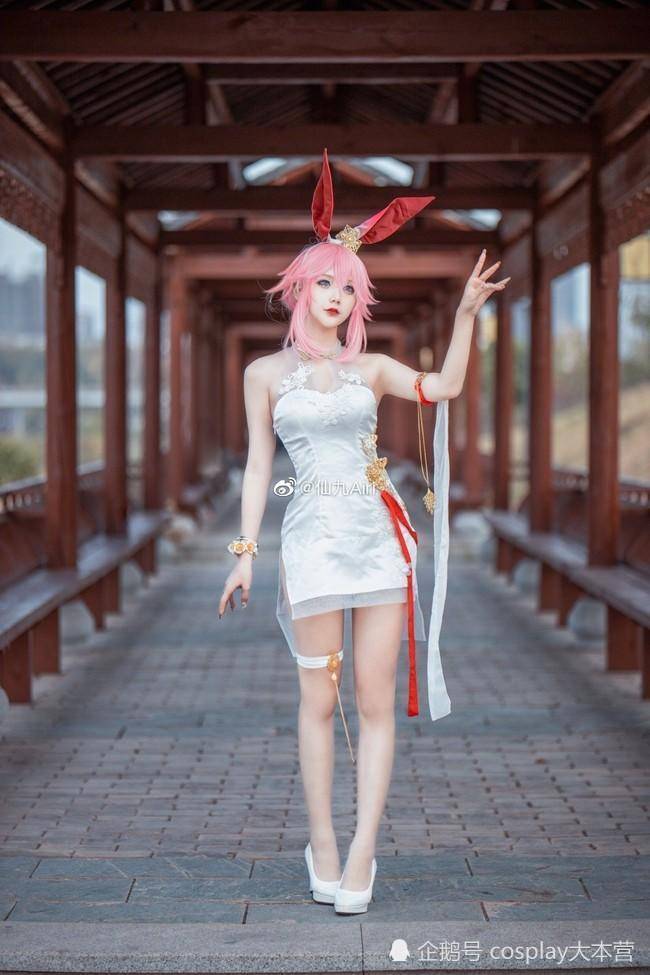 八重樱cosplay cn:仙九airi_腾讯新闻