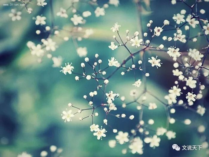 七绝·西施|楚非圣旧体新韵诗集
