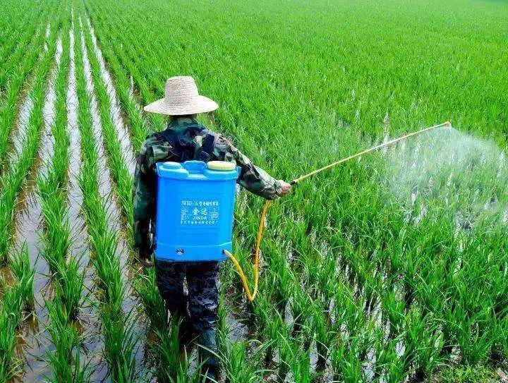 三,正确的使用农药