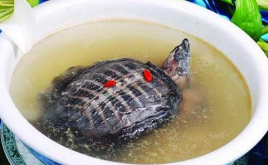 盘点中国十大禁菜,丧尽天良婴儿大补汤/生吃猴脑变态至极_腾讯新闻