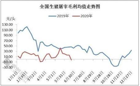 上半年“二师兄”站上风口！上市公司称“价格高点，头均利润2800元”