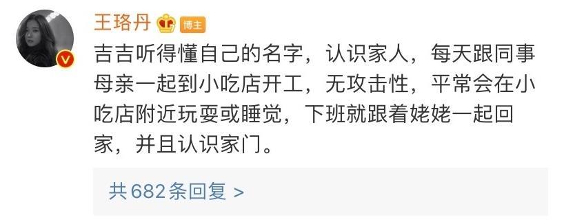 王珞丹|王珞丹以10只烤鸭寻宠物鸭，谁想等来噩耗，王思聪曾购买同款鸭