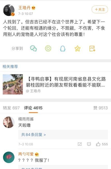 王珞丹|王珞丹以10只烤鸭寻宠物鸭，谁想等来噩耗，王思聪曾购买同款鸭