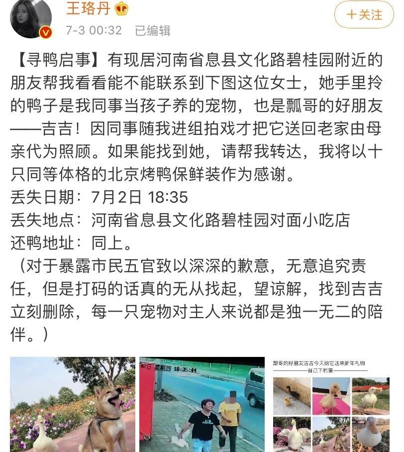 王珞丹|王珞丹以10只烤鸭寻宠物鸭，谁想等来噩耗，王思聪曾购买同款鸭