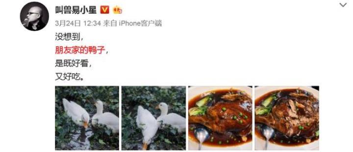 王珞丹|王珞丹以10只烤鸭寻宠物鸭，谁想等来噩耗，王思聪曾购买同款鸭