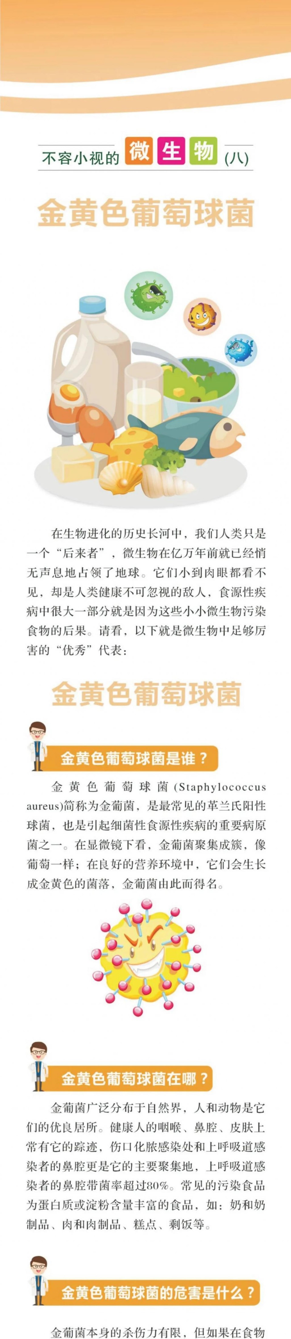 不容小视的微生物8金黄色葡萄球菌