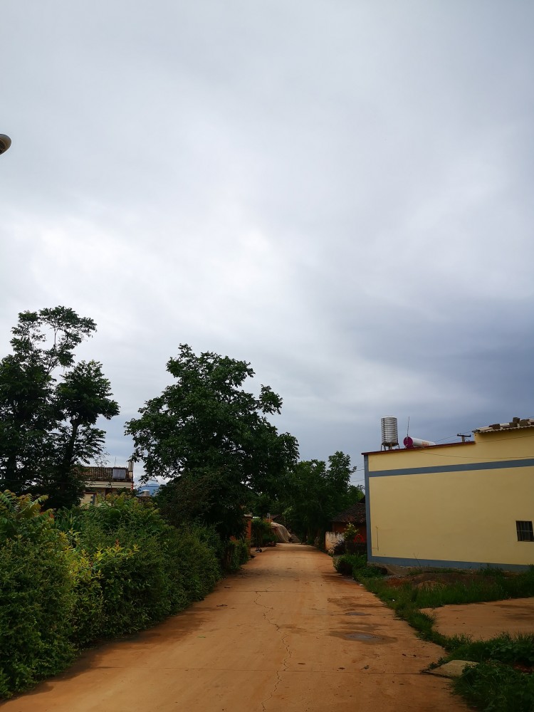 会泽县者海镇犀牛村,乡村风景如画,景色美不胜收,李子硕果累累_腾讯
