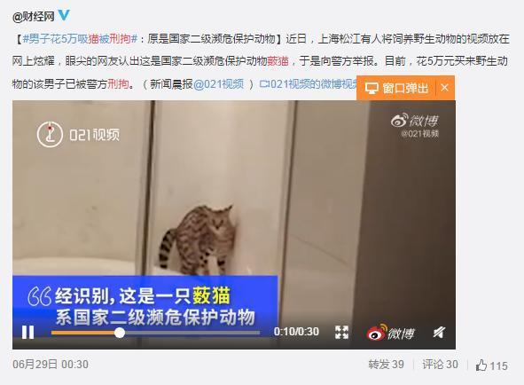 王珞丹网上公开 寻鸭 网红宠物大科普 好多连名字都没听过 腾讯新闻