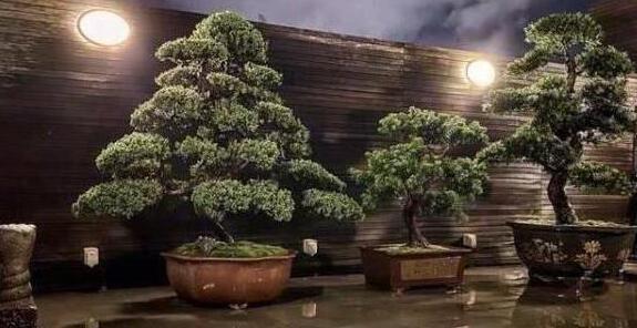 郭碧婷|郭碧婷清空和向佐相关动态，向太都无力回应，网友：坐等婚变实锤