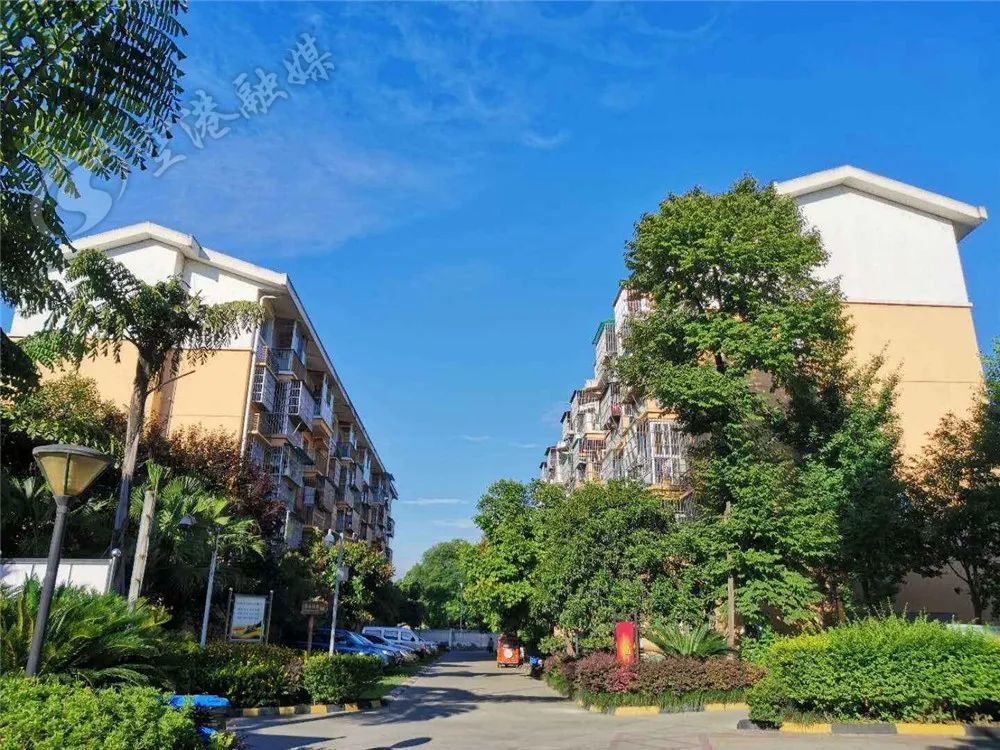 期待双流又要上新了