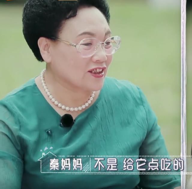 伊能静|伊能静管的太多秦昊不敢吱声，婆婆生气这个回怼太解气！