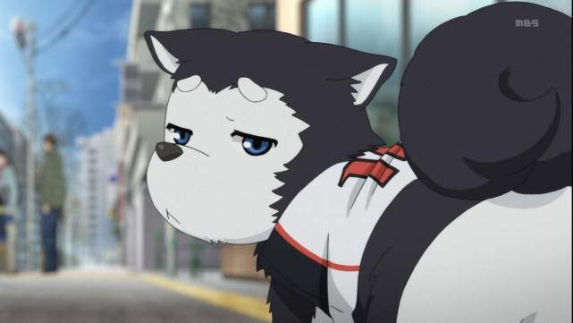 哲也二号是《黑子的篮球》中的流浪狗,当时黑子在公园路过,就遇到了这