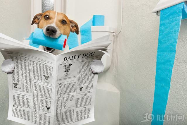 早期肠癌有4个 警报 与排便有关 能发现的人很幸运 大肠癌 便意 痔疮